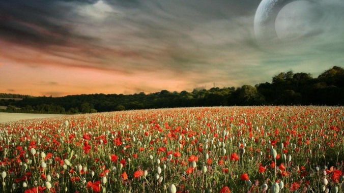 有人认识这个小姐姐吗，超爱她的照片?